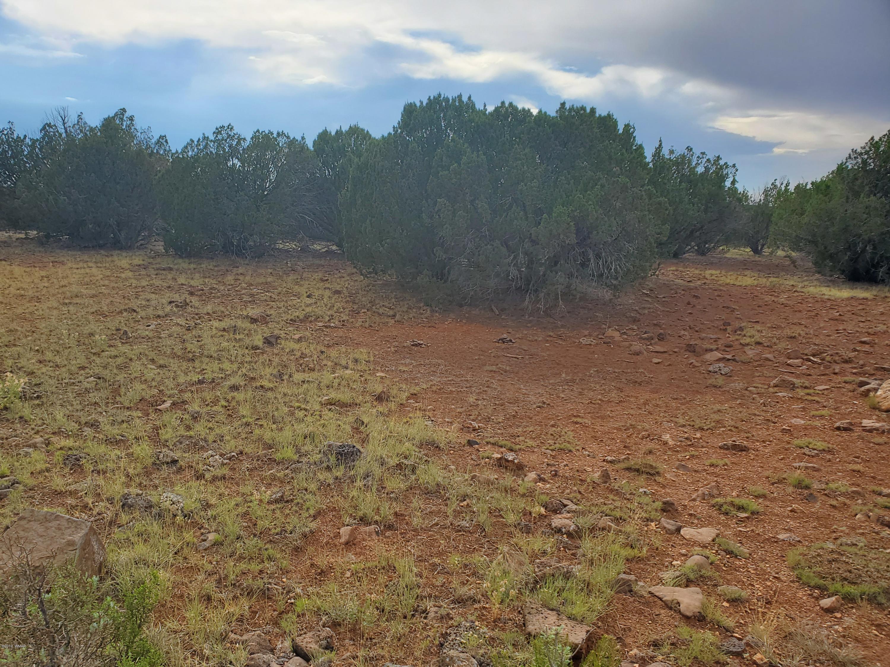 Lot 13 Ranch Road Taylor, AZ 85939 - Photo 3 of 12