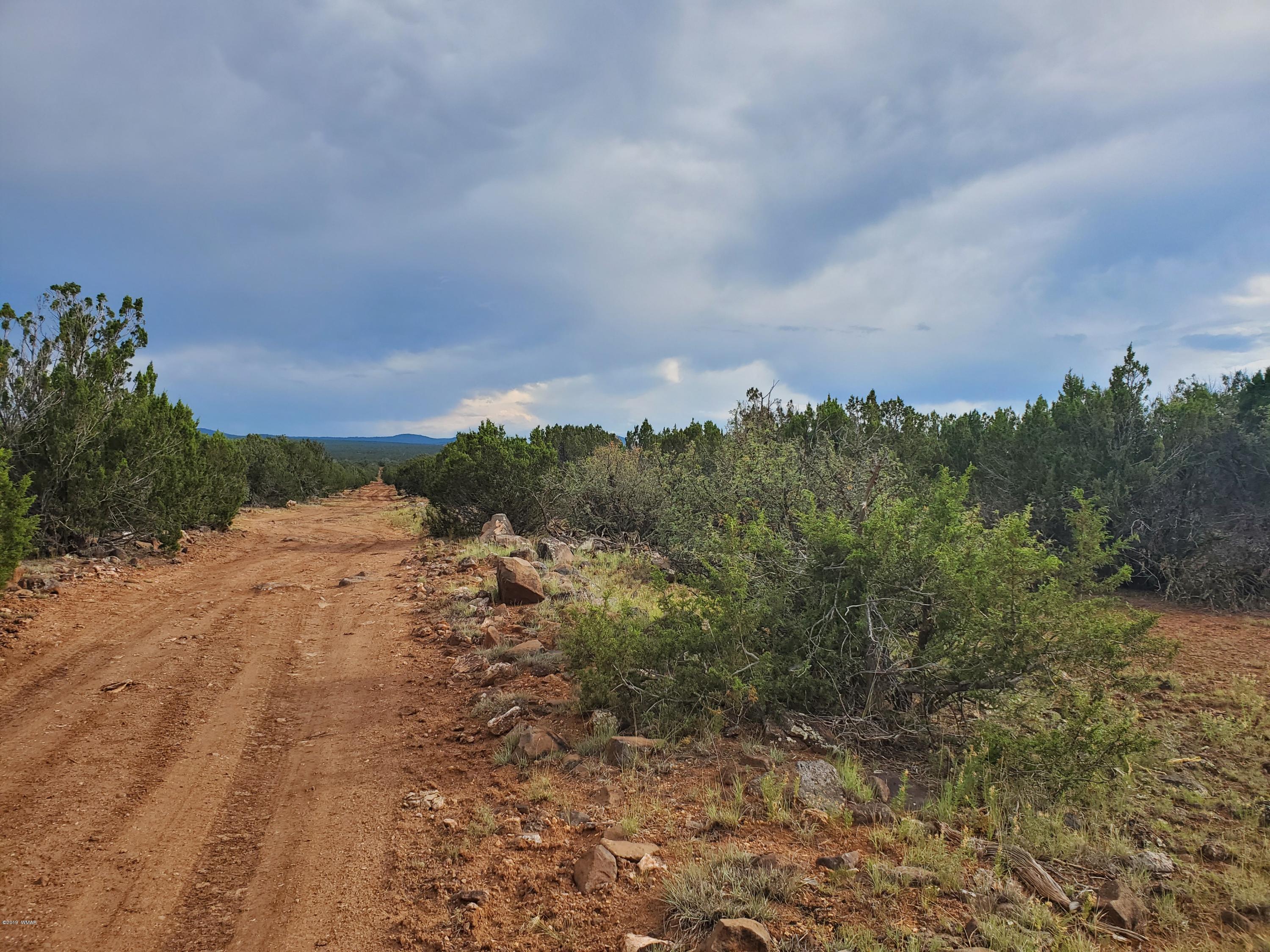 Lot 13 Ranch Road Taylor, AZ 85939 - Photo 4 of 12