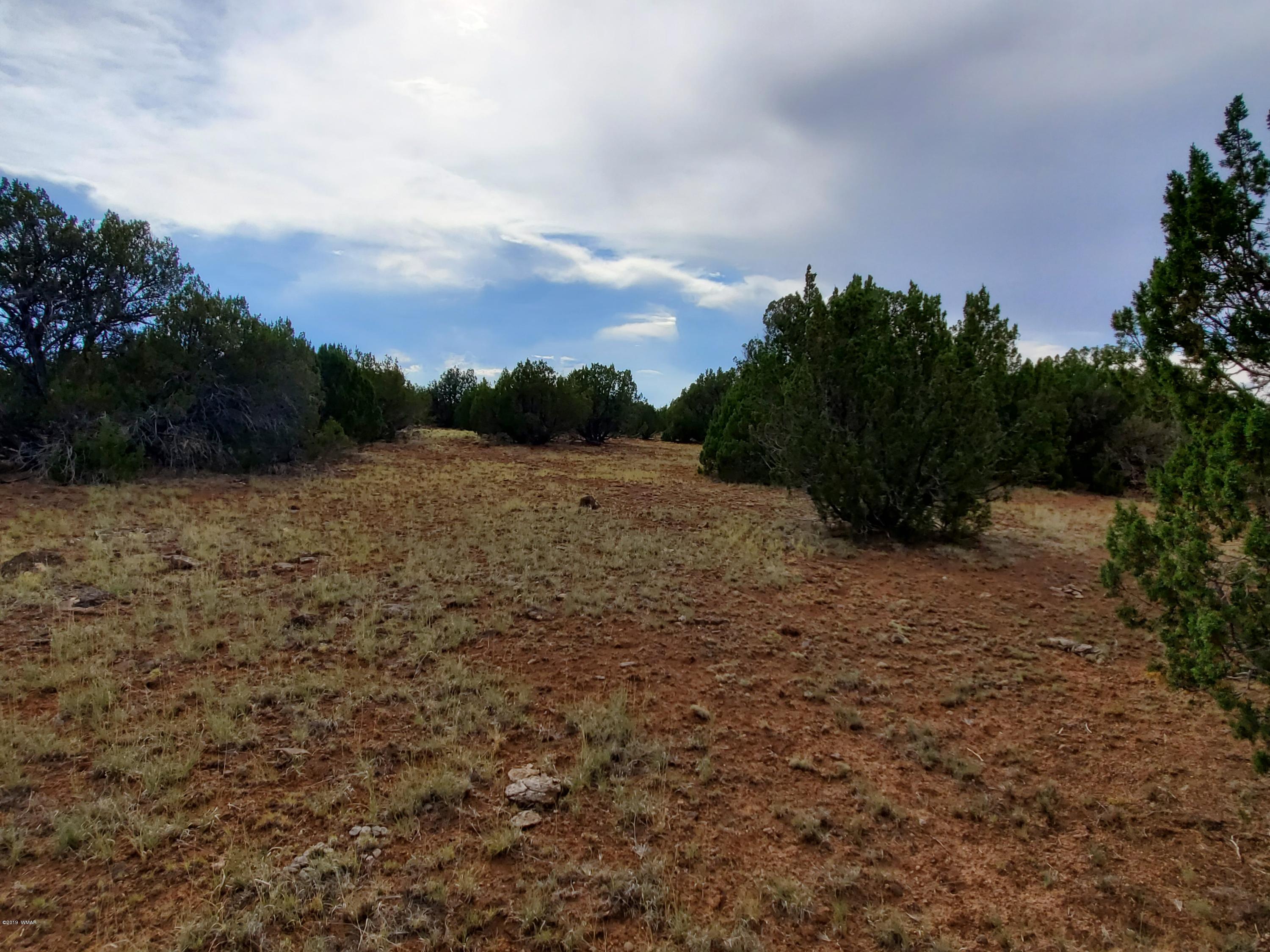 Lot 13 Ranch Road Taylor, AZ 85939 - Photo 5 of 12
