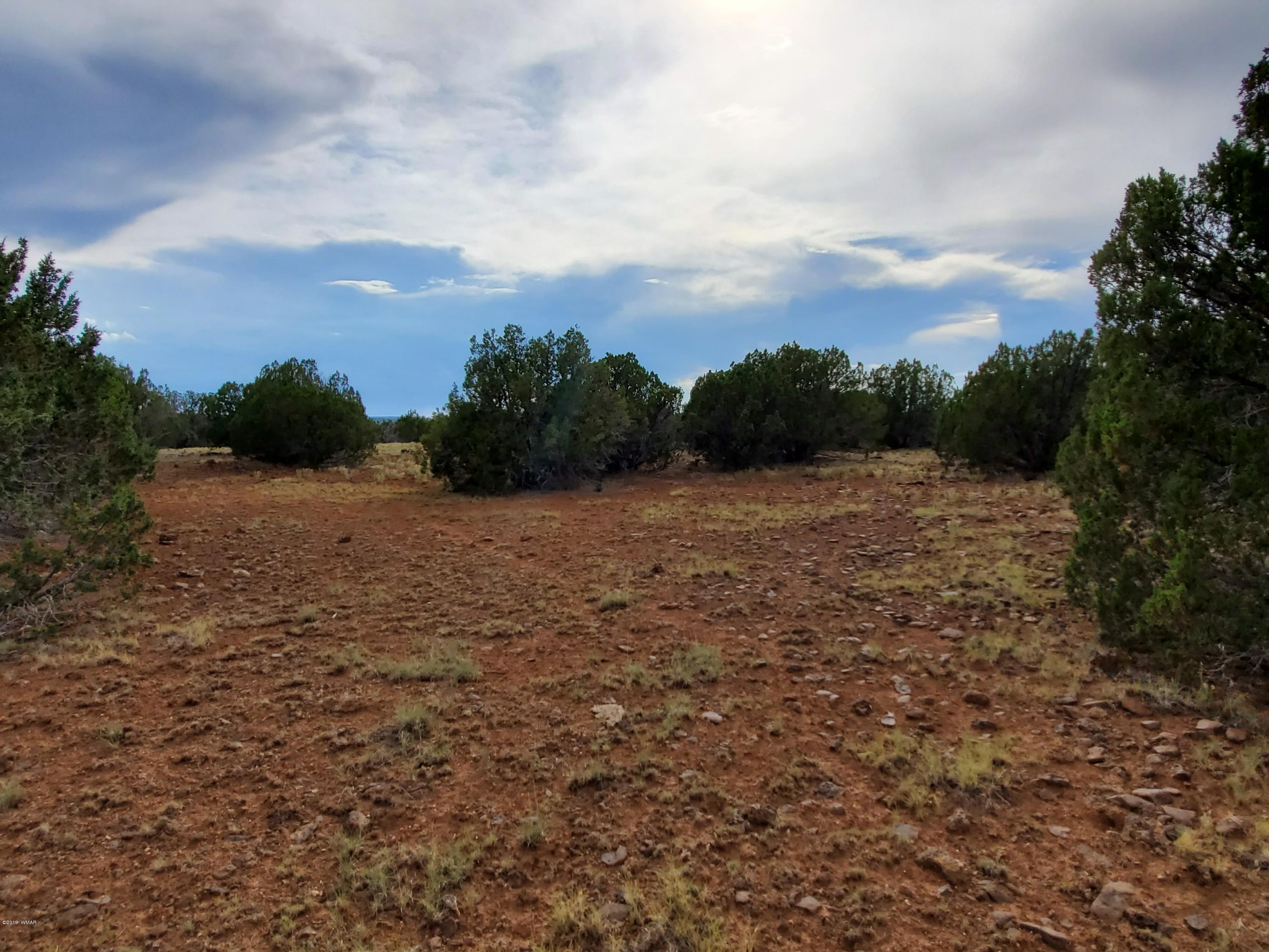 Lot 13 Ranch Road Taylor, AZ 85939 - Photo 6 of 12