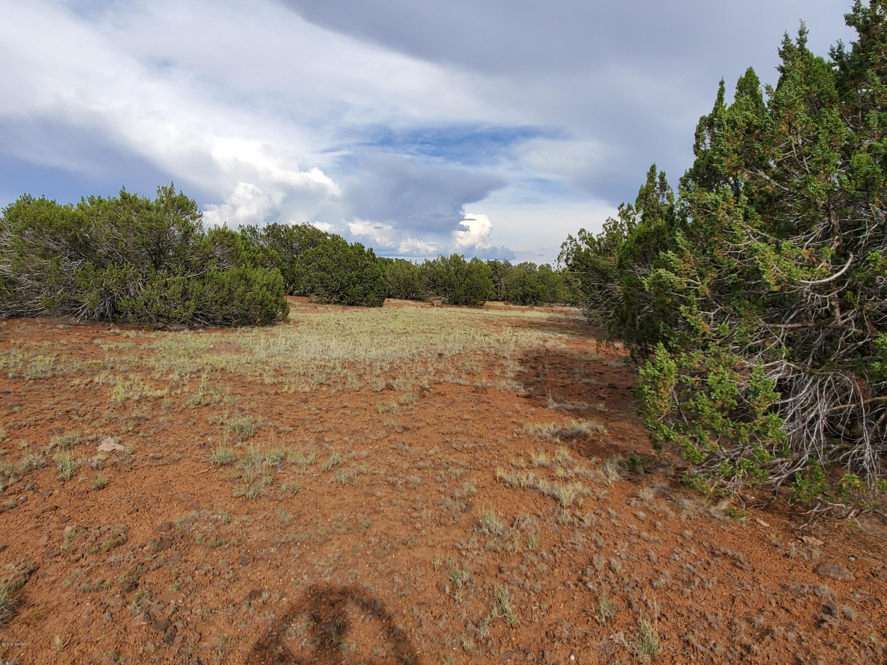 Lot 13 Ranch Road Taylor, AZ 85939 - Photo 7 of 12