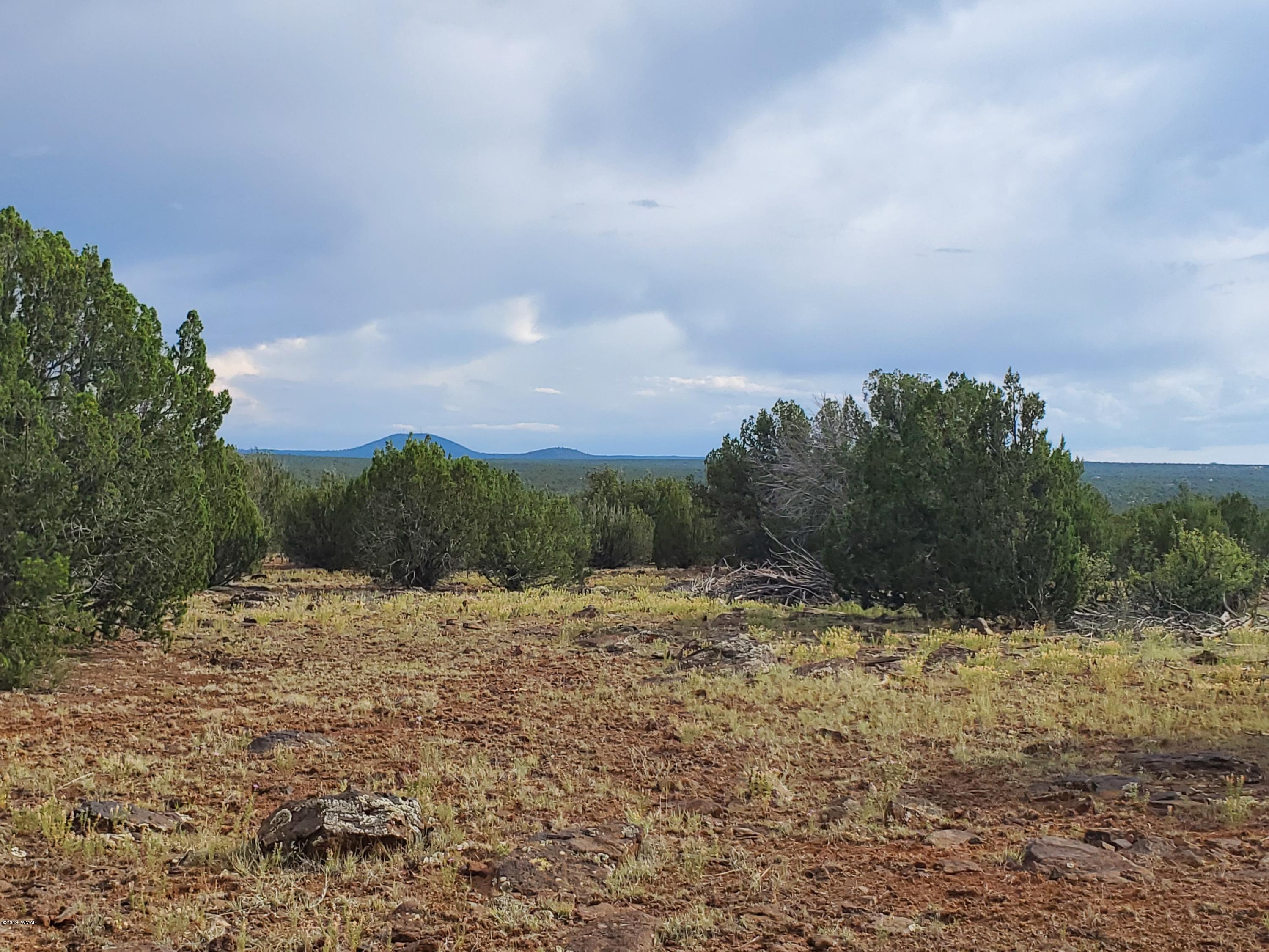 Lot 13 Ranch Road Taylor, AZ 85939 - Photo 8 of 12