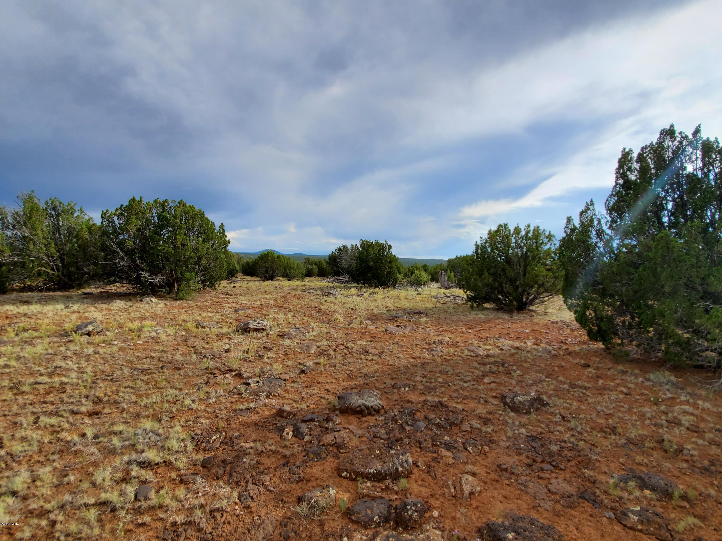 Lot 13 Ranch Road Taylor, AZ 85939 - Photo 9 of 12