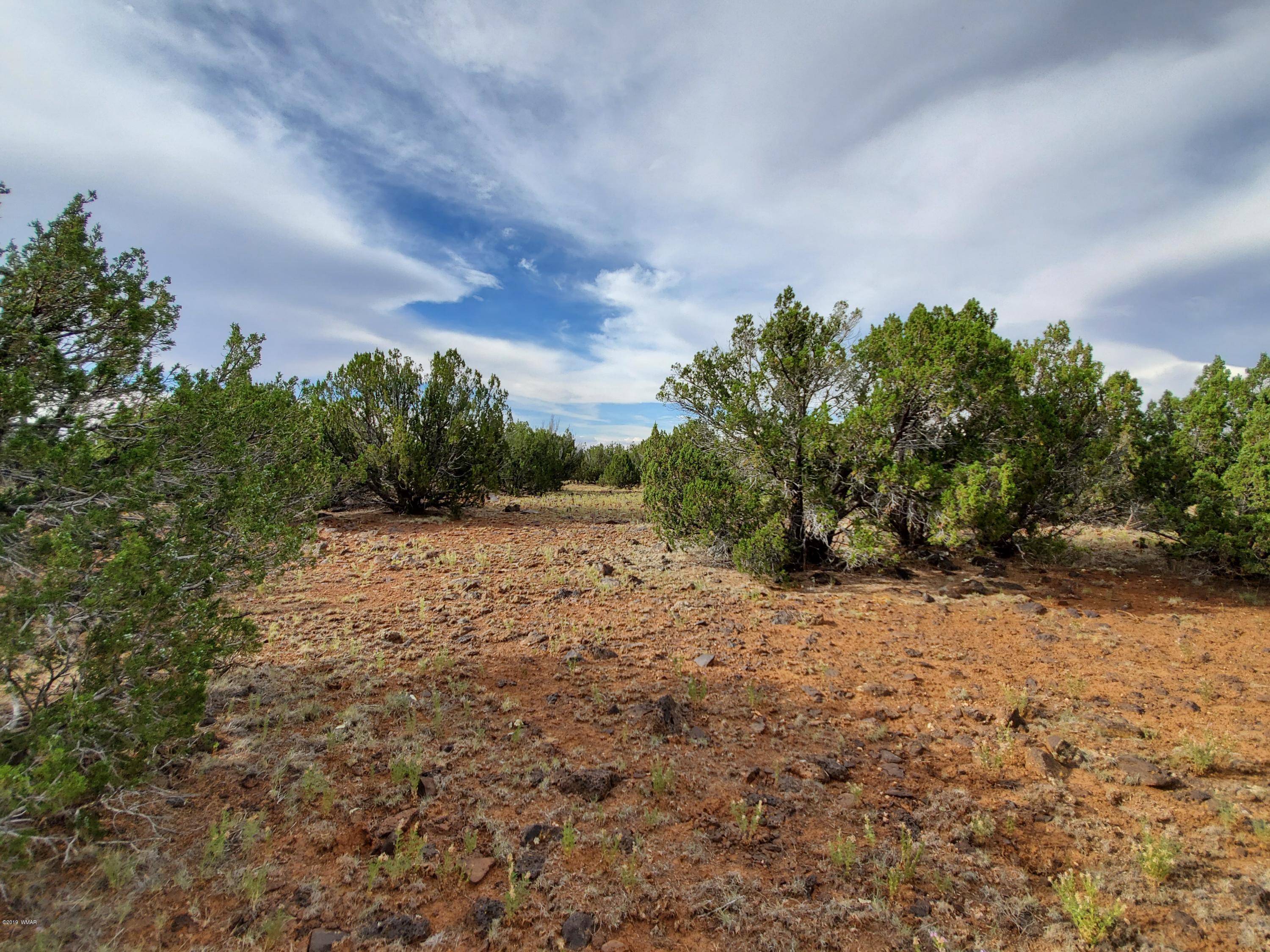 Lot 13 Ranch Road Taylor, AZ 85939 - Photo 10 of 12