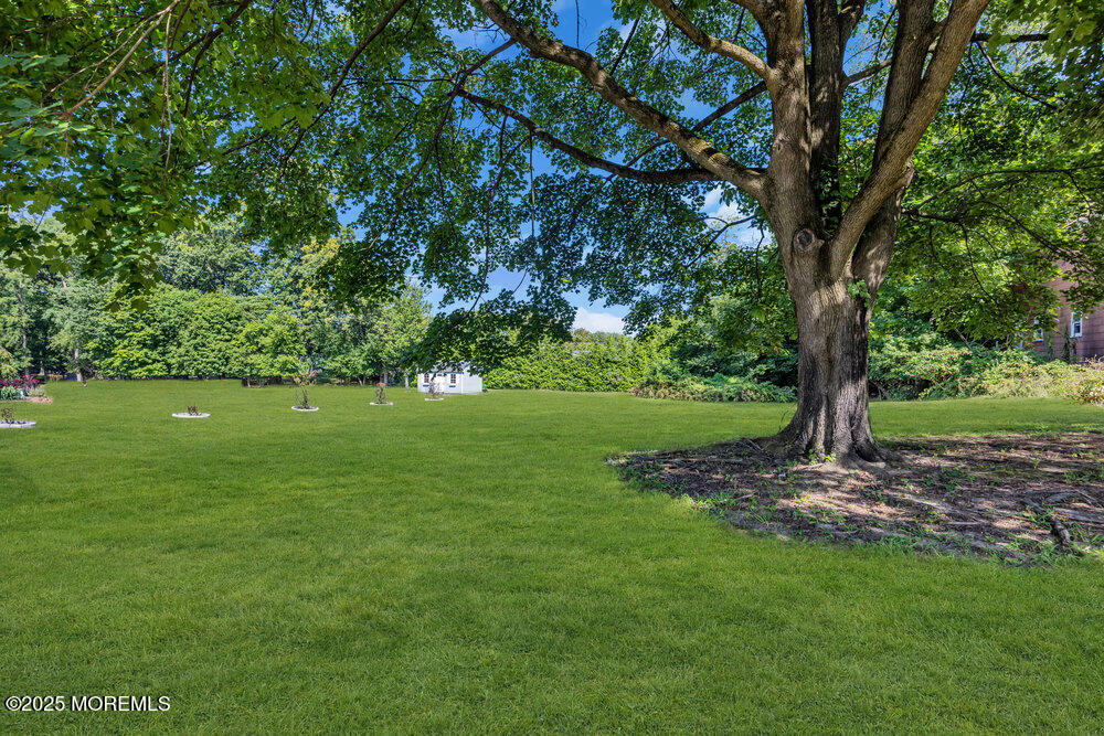 717 Holmdel Road Holmdel, NJ 07733 - Photo 34 of 39 a view of a garden with a tree