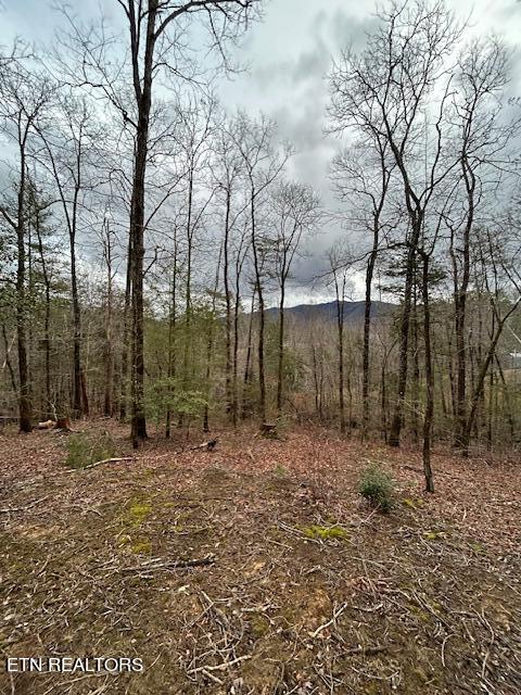 329 Beckett Ridge Road Townsend, TN 37882 - Photo 1 of 12 Lot 5-Top of lot