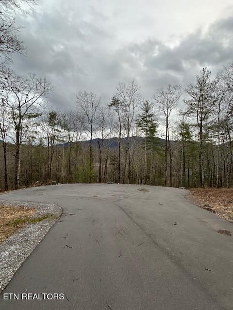 329 Beckett Ridge Road Townsend, TN 37882 - Photo 2 of 12 Cul-de-sac