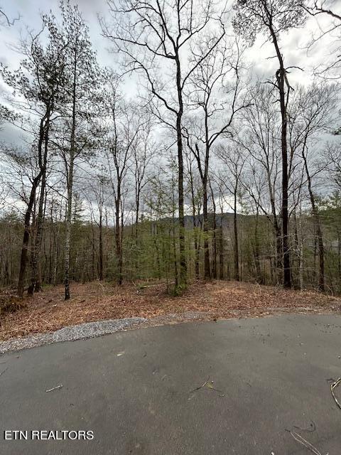 329 Beckett Ridge Road Townsend, TN 37882 - Photo 3 of 12 Lot 5-street view
