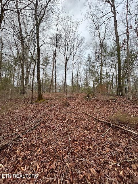 329 Beckett Ridge Road Townsend, TN 37882 - Photo 5 of 12 Lot 5-at bottom looking up toward street