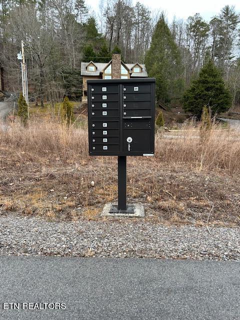 329 Beckett Ridge Road Townsend, TN 37882 - Photo 6 of 12 Cluster mailbox