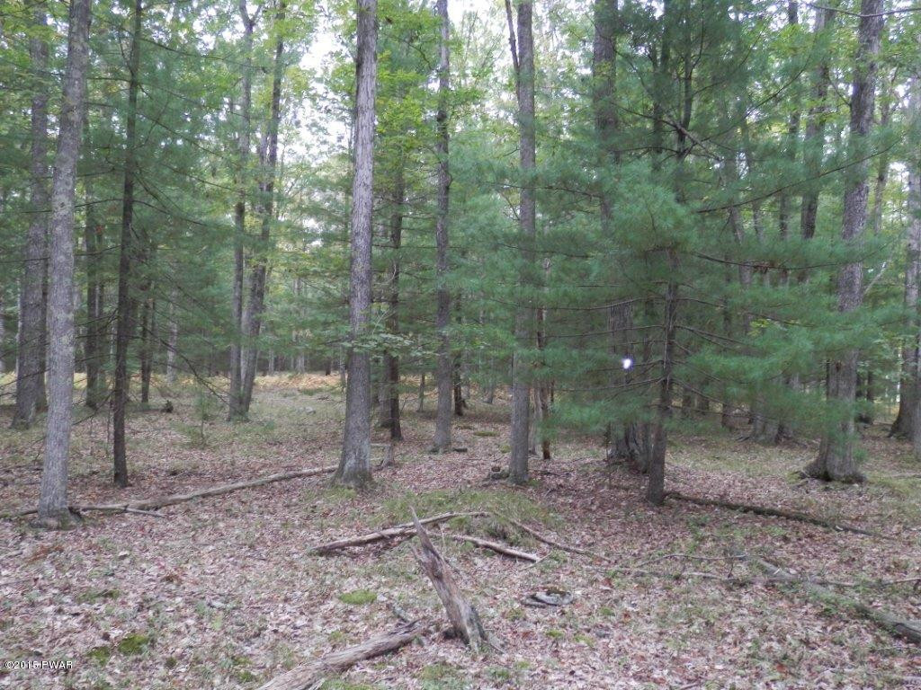 Lot 28 Rowland Road Greeley, PA 18425 - Photo 2 of 3