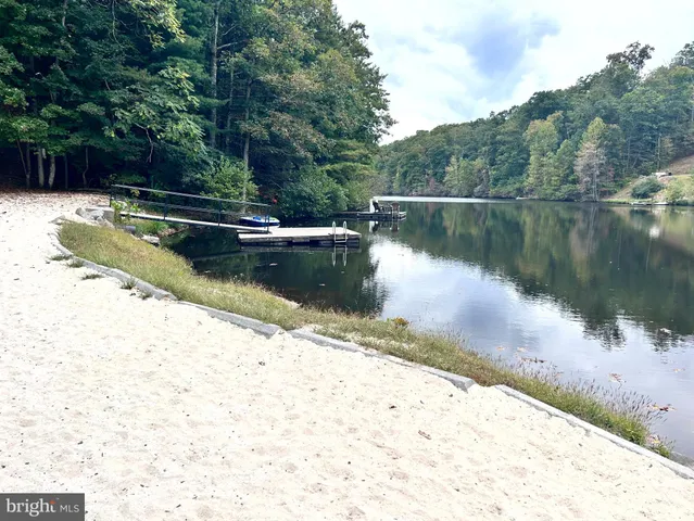 a view of a lake with a large trees