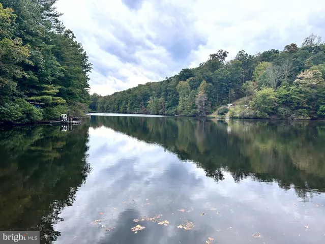 a view of a lake in middle of forest