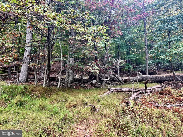 a view of a golf course with trees