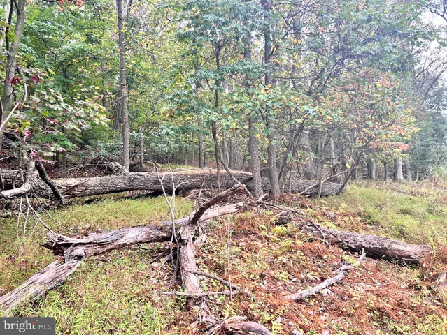 a view of backyard with swimming pool and outdoor seating