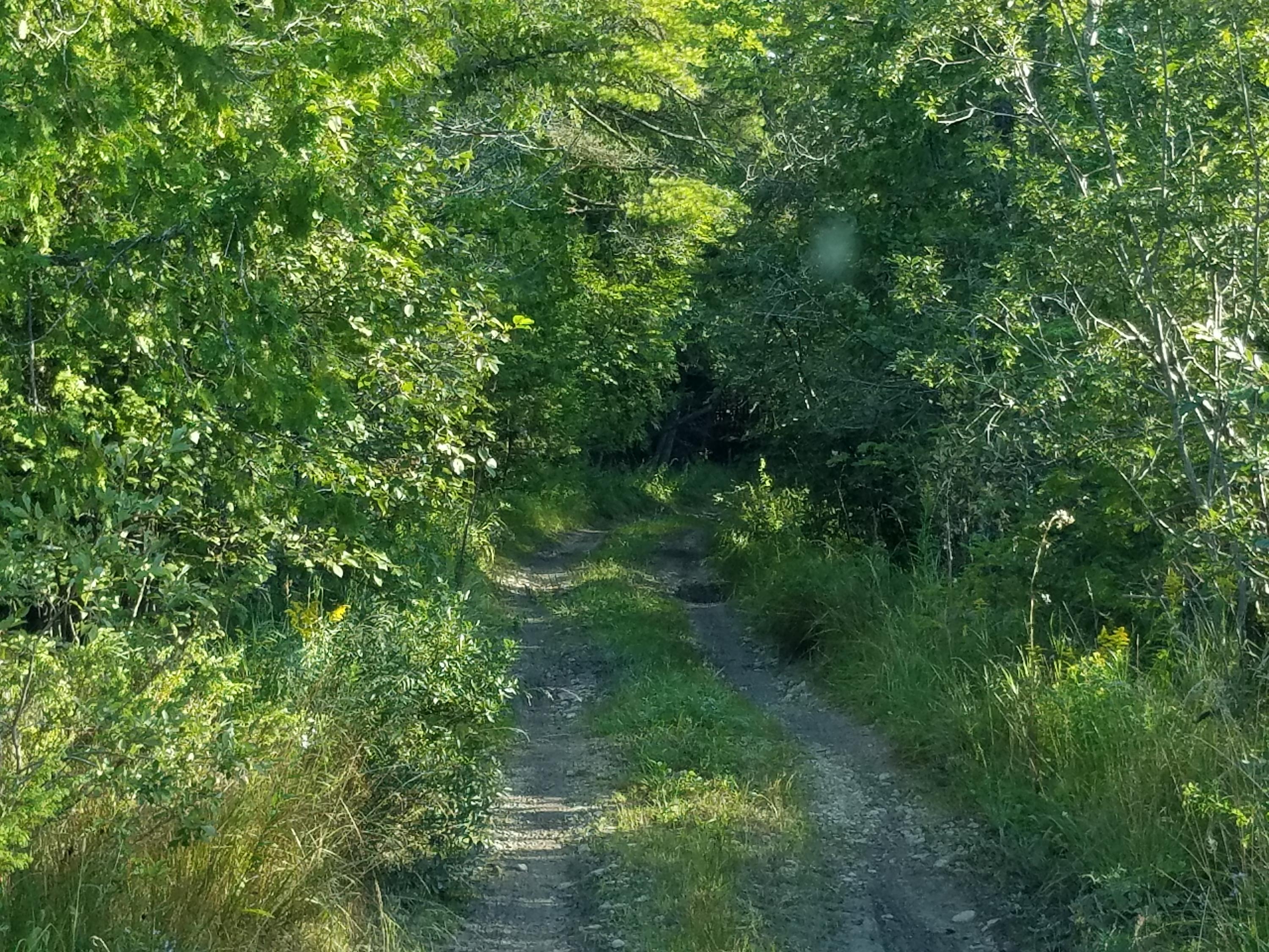 Fenlon Rd Street St. Ignace, MI 49781 - Photo 17 of 21 Gallery Image 17
