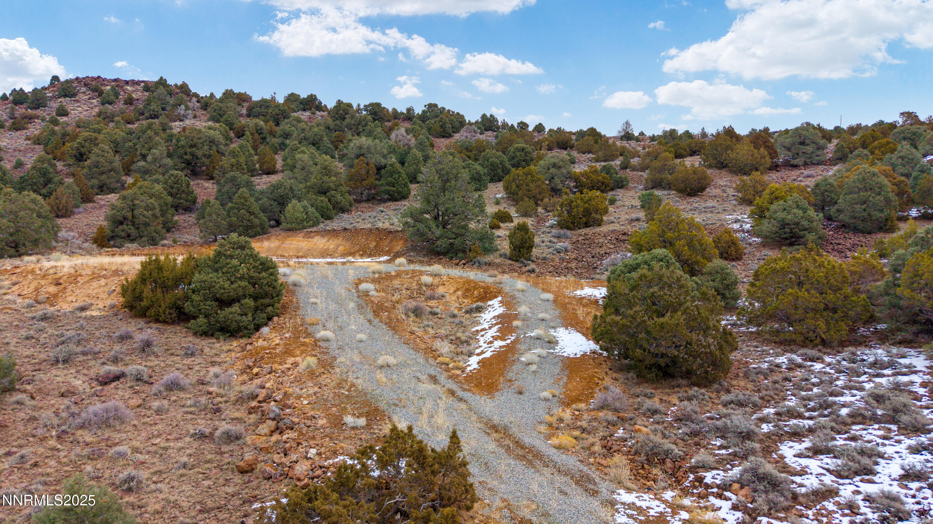 2680 Goldfield Road Reno, NV 89521 - Photo 12 of 20 a view of a dry yard with trees