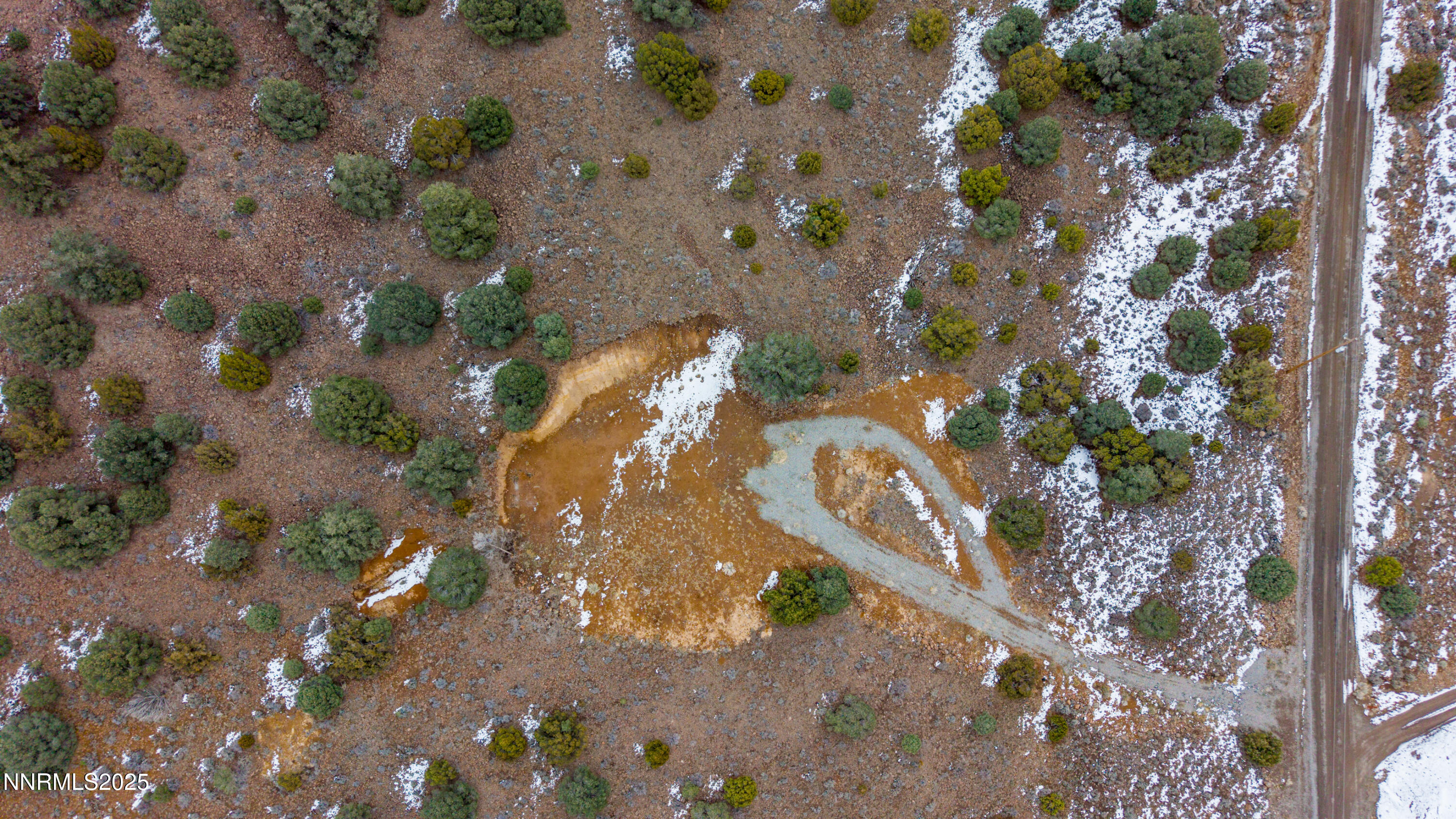 2680 Goldfield Road Reno, NV 89521 - Photo 13 of 20 a view of flowers