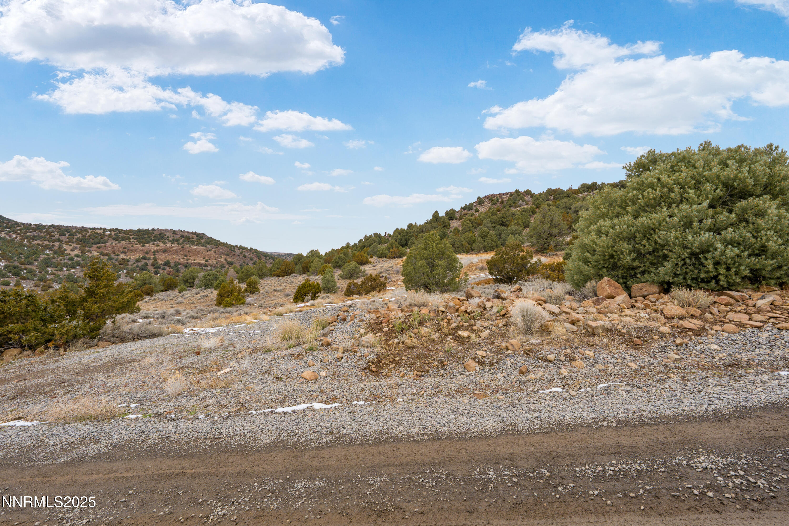 2680 Goldfield Road Reno, NV 89521 - Photo 19 of 20 a view of a dry yard with mountains in the background