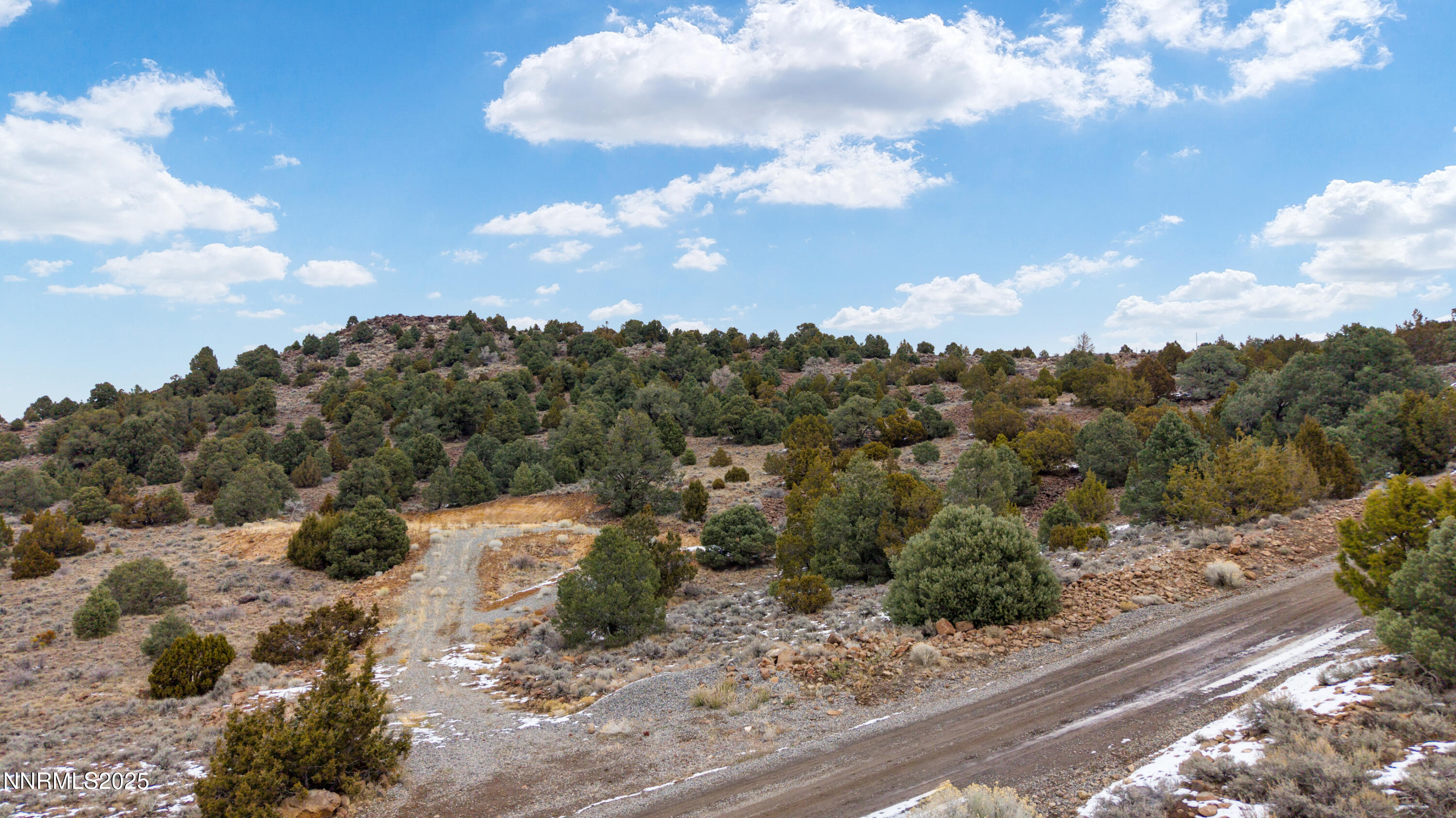 2680 Goldfield Road Reno, NV 89521 - Photo 9 of 20 a view of a lot of trees and snow