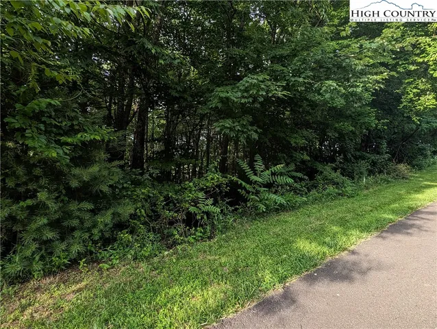 $18,000 | Lot 5 Briarwood Lane, Sparta, NC 28675