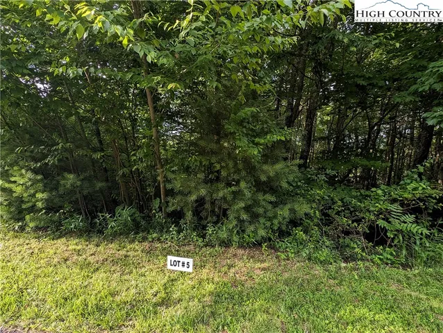 $18,000 | Lot 5 Briarwood Lane, Sparta, NC 28675