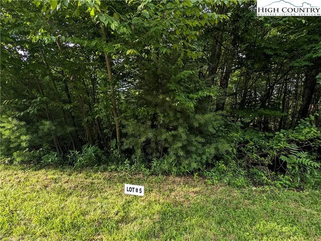 $18,000 | Lot 5 Briarwood Lane, Sparta, NC 28675
