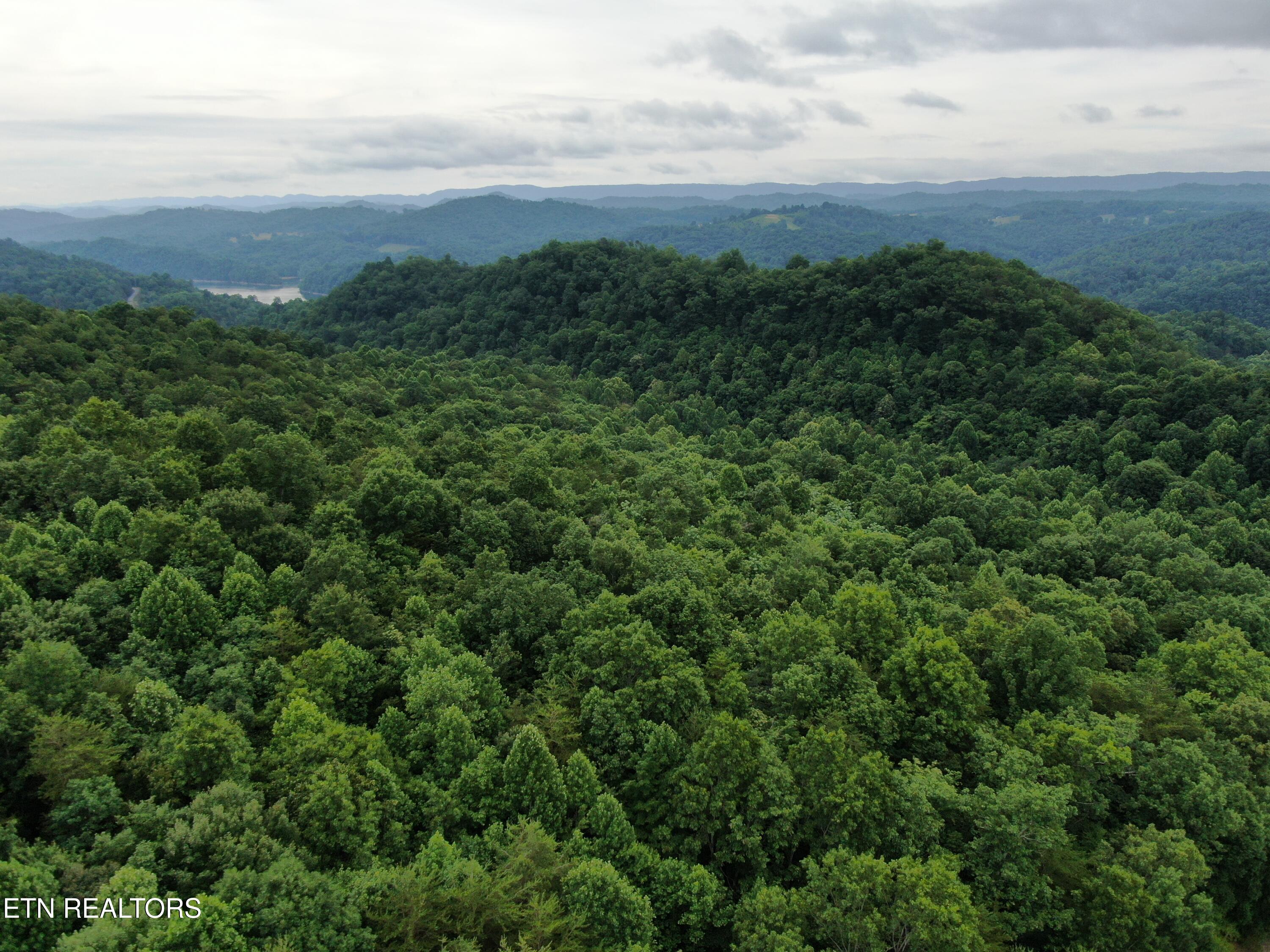 DJI_0383