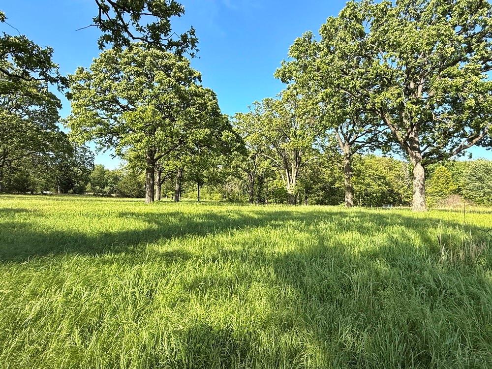Tbd South Tbd S 325th Road El Dorado Springs, MO 64744 - Photo 22 of 38