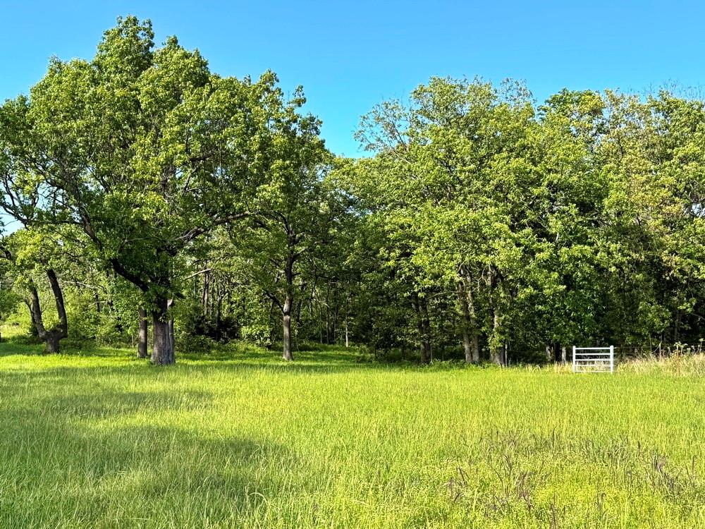 Tbd South Tbd S 325th Road El Dorado Springs, MO 64744 - Photo 26 of 38