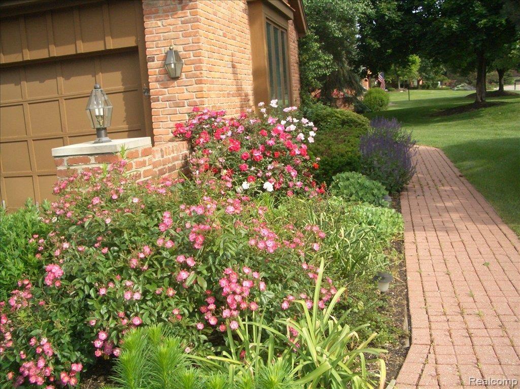 36938 Valley Ridge Drive Farmington, MI 48331 - Photo 13 of 14 Landscape