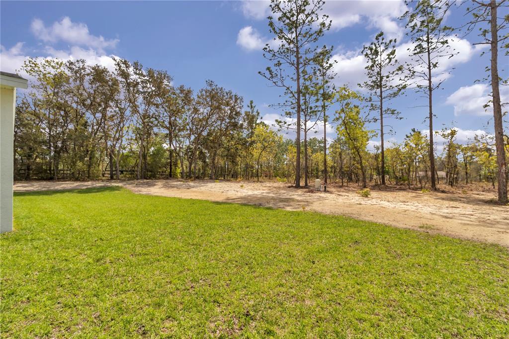 12386 Southwest 89th Street Dunnellon, FL 34432 - Photo 43 of 44