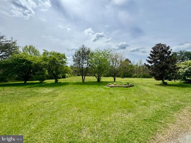 3475 Old Elk Neck Road Elkton, MD 21921 - Photo 4 of 33 4.49 Acres