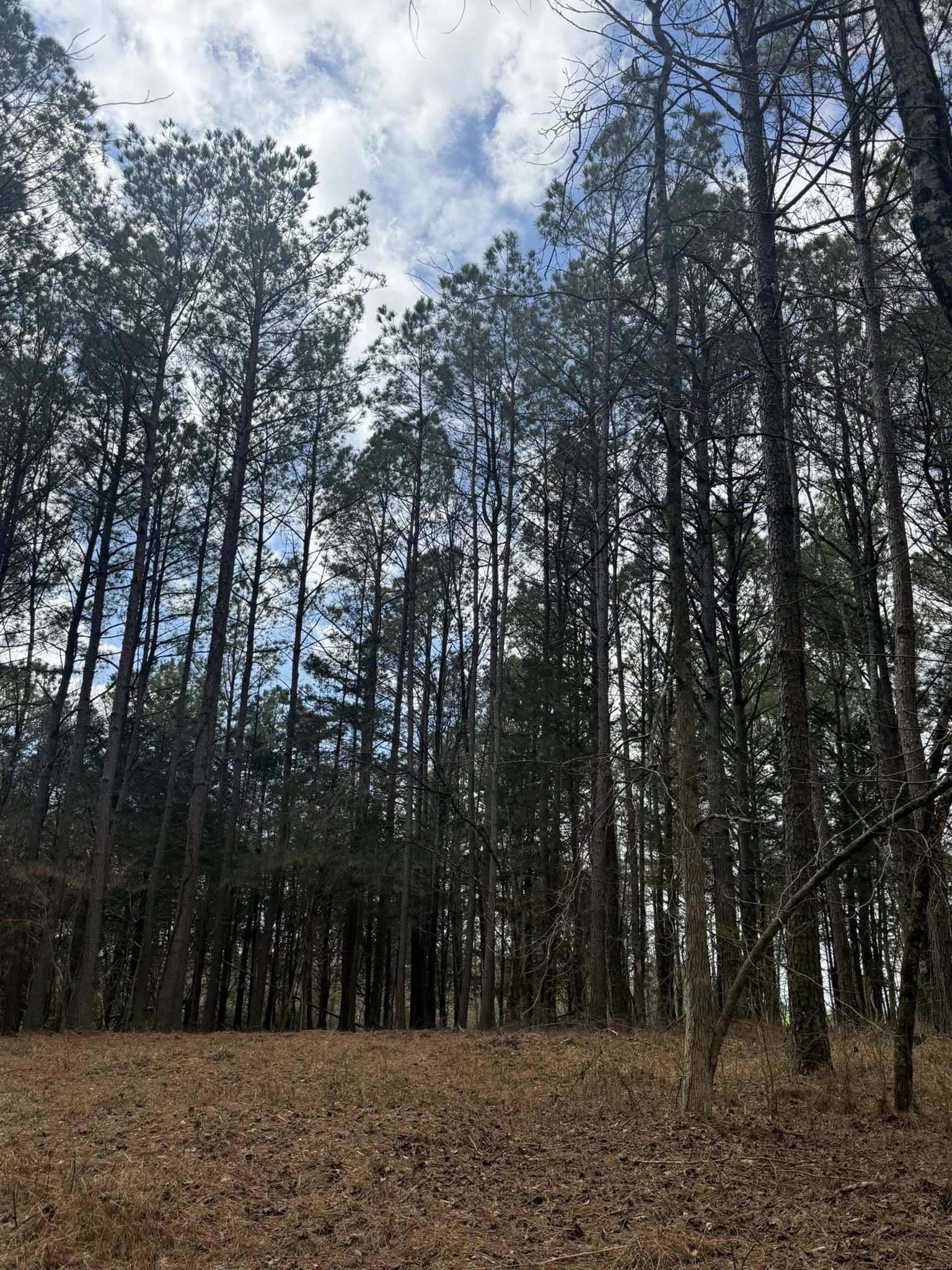 5583 Pedigap Road Morrison, TN 37357 - Photo 2 of 6 a view of outdoor space