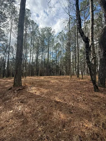 a view of outdoor space with lots of trees