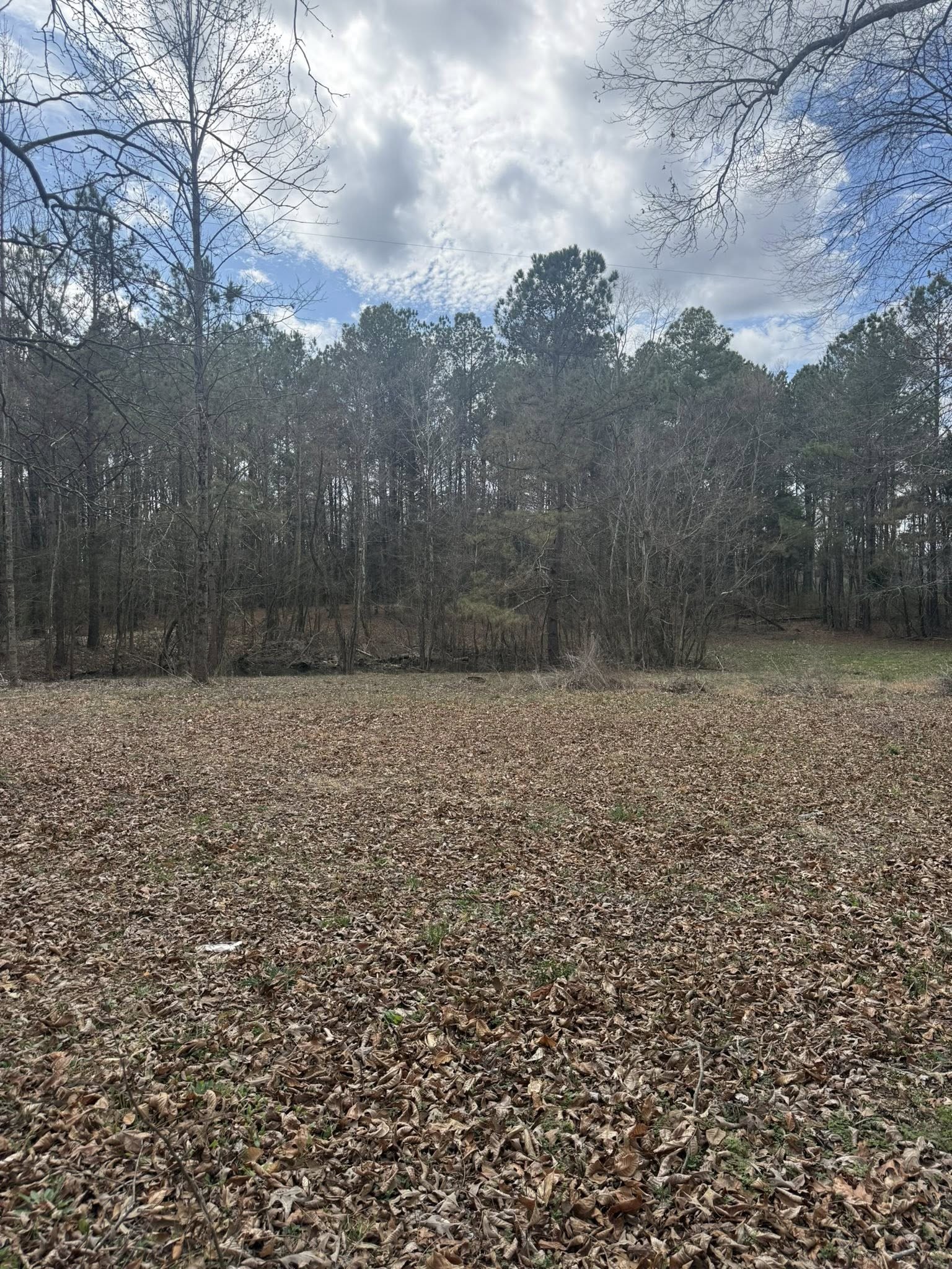 5583 Pedigap Road Morrison, TN 37357 - Photo 4 of 6 a view of a yard