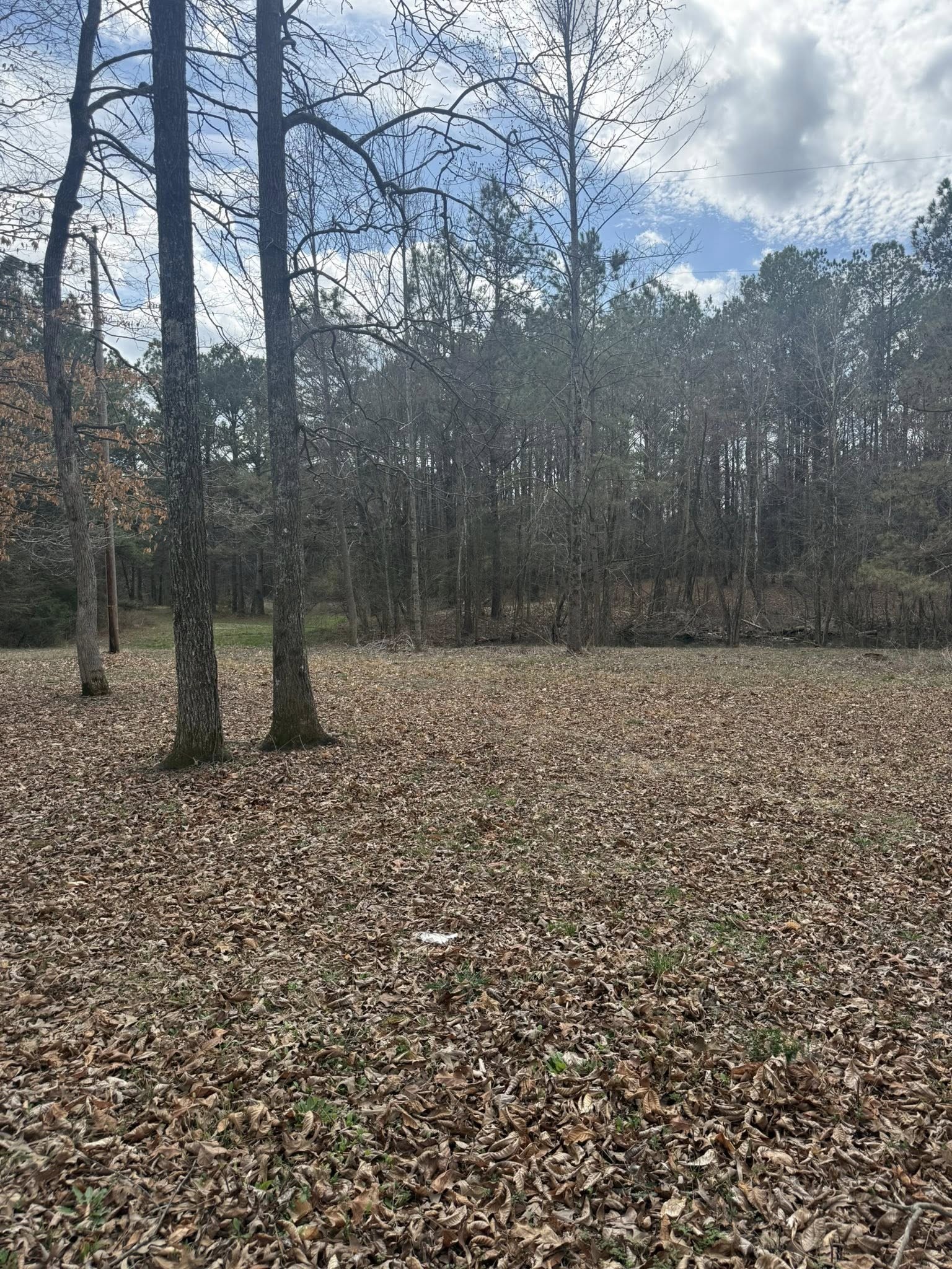 5583 Pedigap Road Morrison, TN 37357 - Photo 5 of 6 a backyard of a house with lots of green space