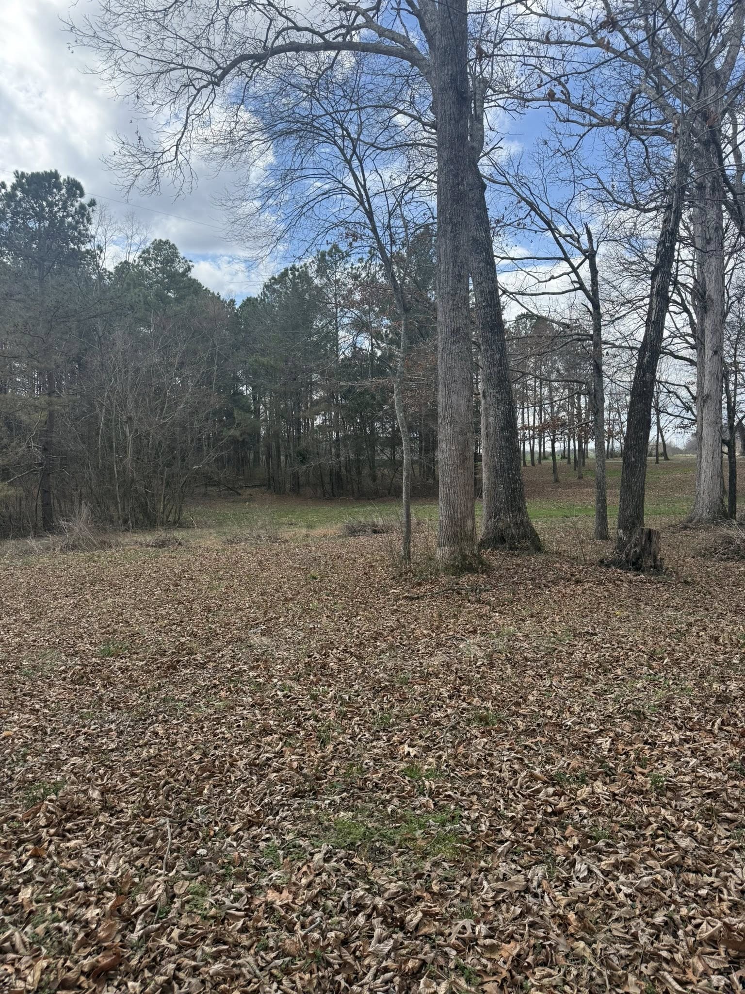 5583 Pedigap Road Morrison, TN 37357 - Photo 6 of 6 a view of a backyard