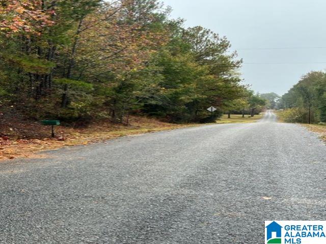 651 Shady Grove Road, Unit ACREAGE Randolph, AL 36792 - Photo 2 of 3