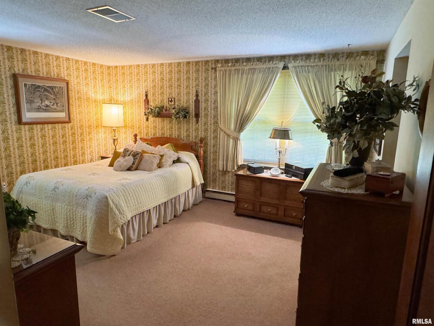 2885 State Route 146 Anna, IL 62906 - Photo 35 of 46 a bedroom with a bed and a potted plant