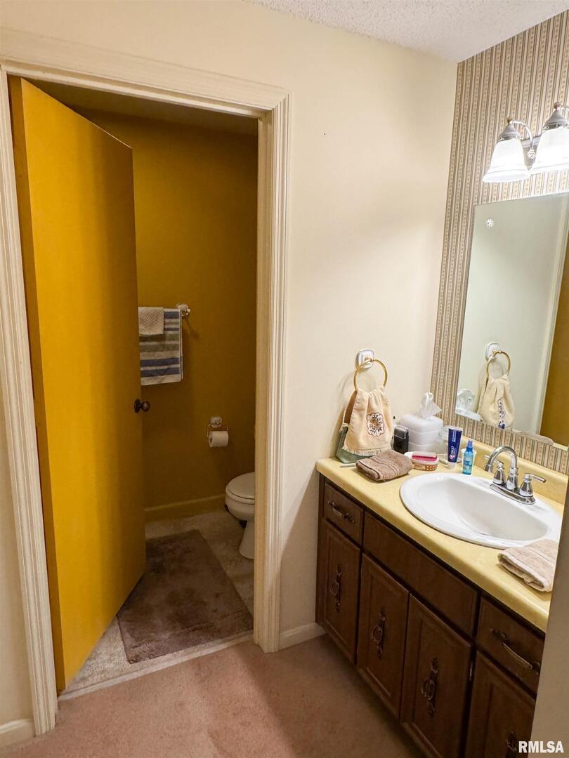 2885 State Route 146 Anna, IL 62906 - Photo 37 of 46 a bathroom with a sink and mirror