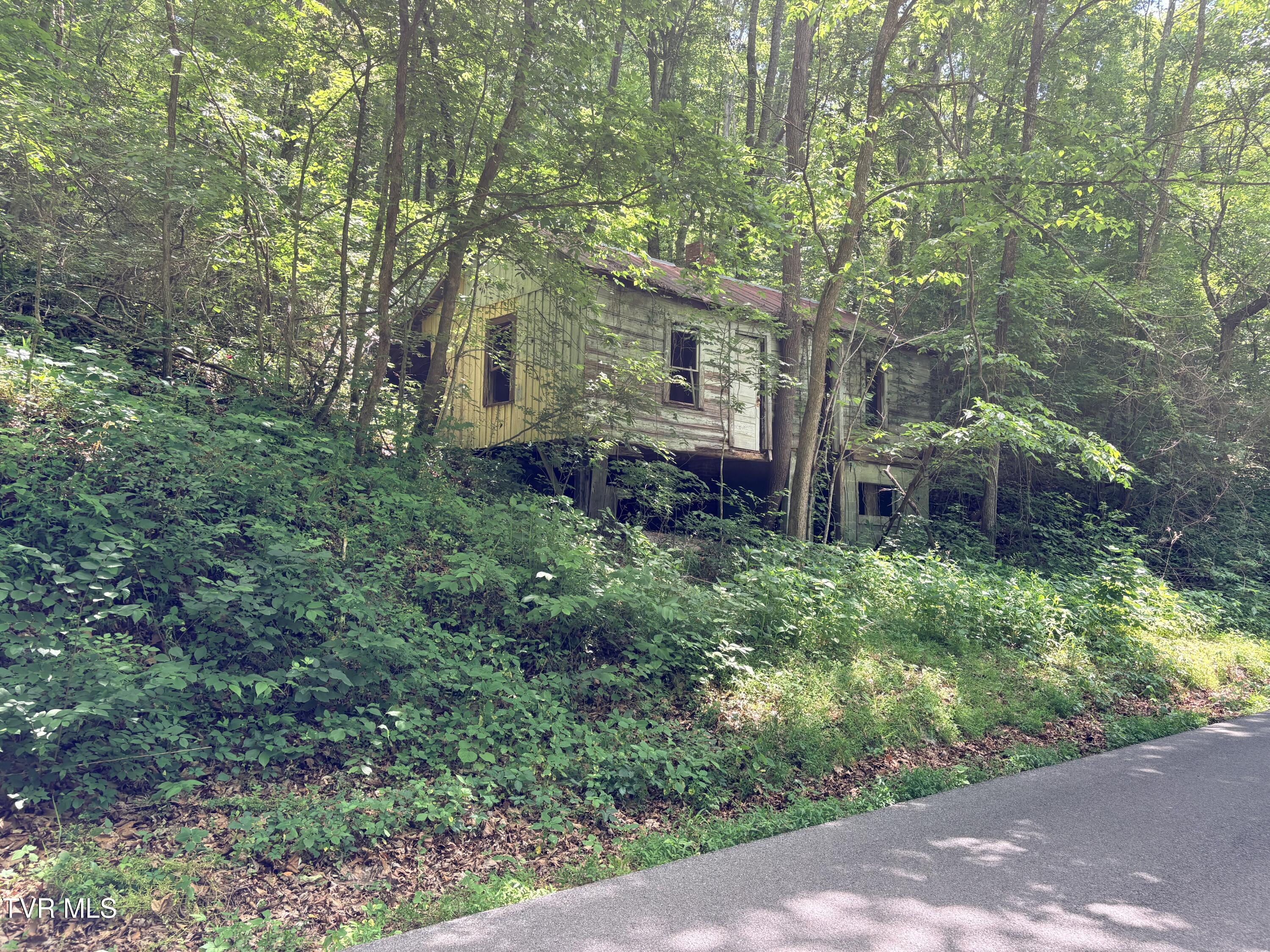 0 Shackleford Road Mosheim, TN 37818 - Photo 8 of 21 IMG_9773