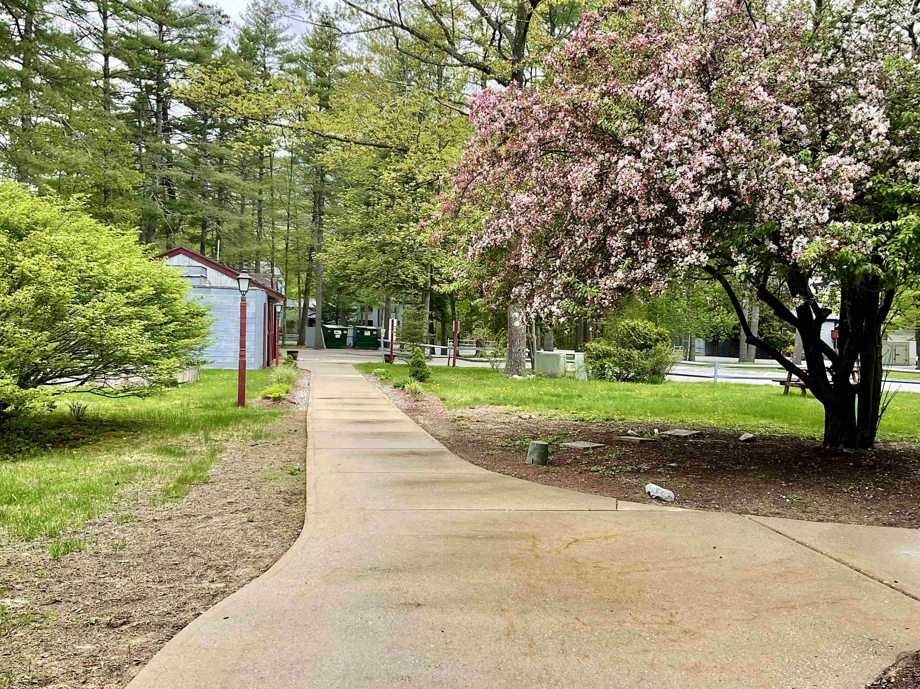 9 River Run Drive Bartlett, NH 03812 - Photo 21 of 40