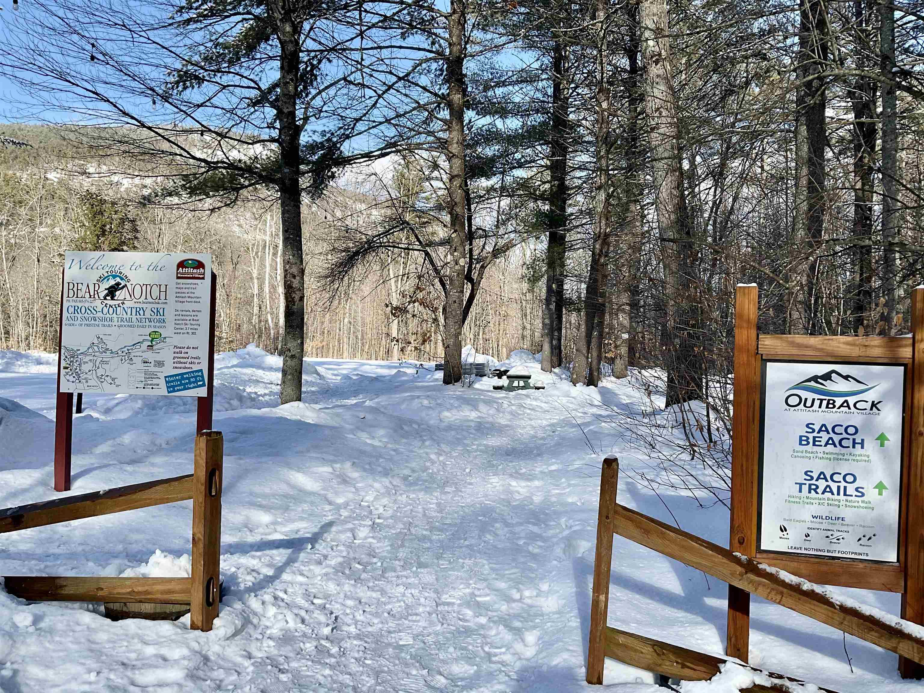 9 River Run Drive Bartlett, NH 03812 - Photo 27 of 40