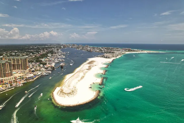 a view of a garden with large trees