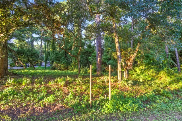 a backyard of a house with plants and large trees