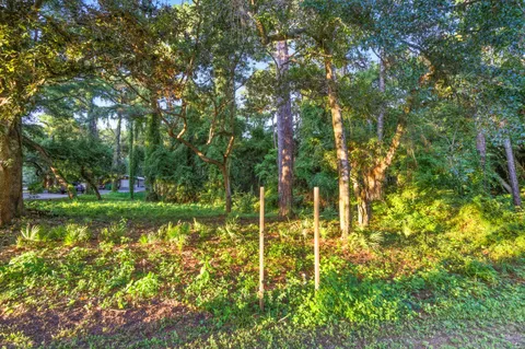 a backyard of a house with plants and large trees