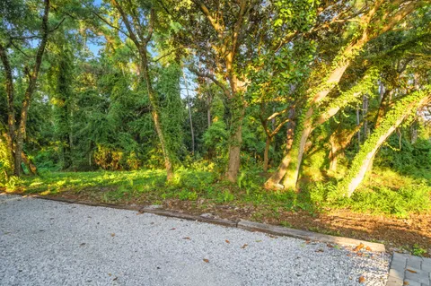 a big yard with lots of green space and trees