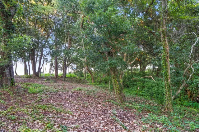 a backyard of a house with lots of green space