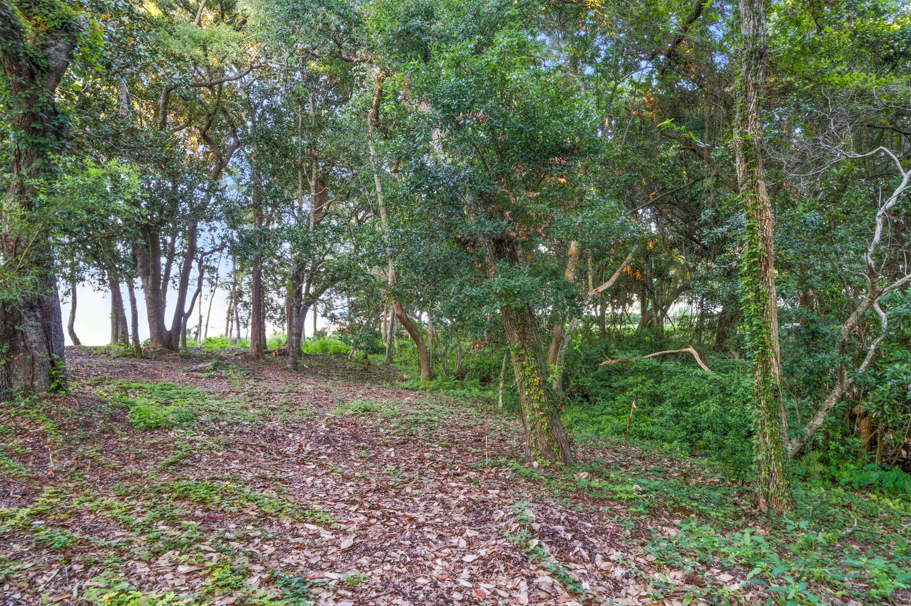 X Indian Trail Destin, FL 32541 - Photo 6 of 20 Indian Trail Lot